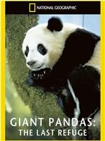 拯救大熊猫在线观看和下载