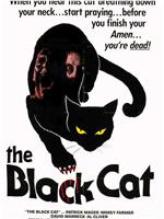 黑猫在线观看和下载