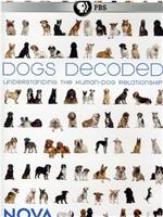 Dogs Decoded