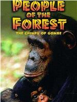 People of the Forest: The Chimps of Gombe在线观看和下载