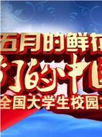 2013央视五四晚会