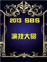 SBS演技大赏在线观看