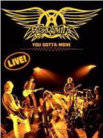 Aerosmith You Gotta Move