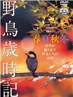 野鳥歲時記-春夏秋冬