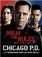 芝加哥警署 第二季ed2k分享