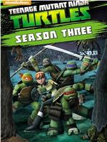 忍者神龟 第三季在线观看