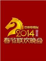 2014年中央电视台春节联欢晚会在线观看
