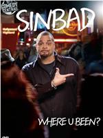 Sinbad: Where U Been?在线观看