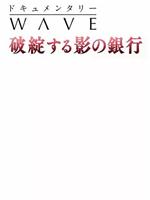 影子银行的破灭：动摇中国社会的新危机在线观看