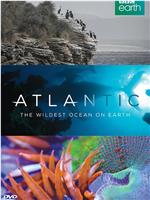 大西洋：地球最狂野的海洋在线观看和下载
