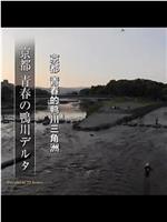纪实72小时：京都 青春的鸭川三角洲在线观看