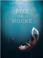 狐狸和老鼠的故事在线观看和下载