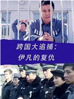 跨国大追捕：伊凡的复仇在线观看