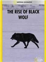 黑狼的崛起在线观看和下载