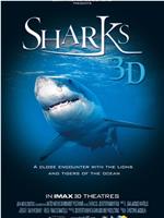 鲨鱼3D在线观看