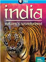 印度：大自然的仙境在线观看