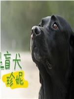 导盲犬珍妮在线观看