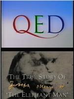 Q.E.D. - The True Story of the Elephant Man在线观看和下载