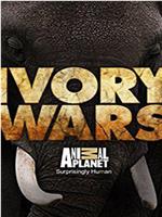 ivory wars在线观看