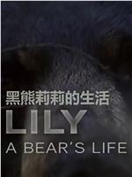 莉莉 一头熊的生活在线观看和下载