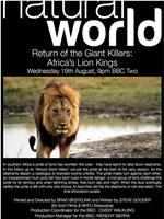 Return Of The Giant Killers - Africa's Lion Kings在线观看