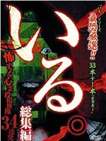 「いる。」総集編~怖すぎる心霊投稿映像34連発在线观看