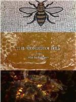 玛莎·卡妮领略神奇的蜜蜂在线观看