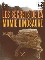 恐龙化石的秘密