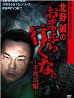 北野誠のおまえら行くな 不死鳥編在线观看