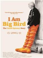 我是大鸟：卡洛尔·斯宾尼的故事在线观看