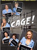 Kittens in a Cage Season 1在线观看和下载