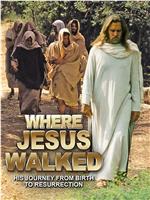 Where Jesus Walked在线观看