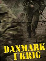 丹麦的战争