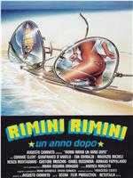 Rimini, Rimini - un anno dopo