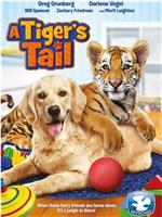 A Tiger’s Tail在线观看