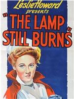 The Lamp Still Burns