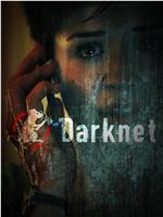 Darknet Season 1在线观看