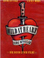 Love, Death, Elvis &amp; Oz: The Making of 'Wild at Heart'在线观看