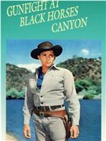 Gunfight at Black Horse Canyon在线观看