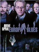 Arne Dahl: Europa blues在线观看和下载