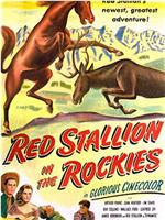 Red Stallion in the Rockies