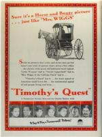 Timothy's Quest