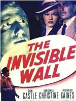 The Invisible Wall在线观看