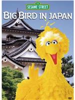 Big Bird in Japan