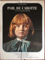 Poil de carotte