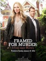 Framed for Murder: A Fixer Upper Mystery在线观看