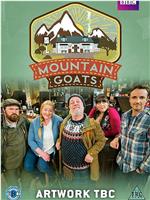 mountain goats