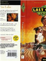 The Last Chance Detectives: Escape from Fire Lake