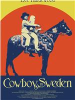 Cowboy in Sweden