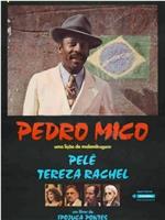 Pedro Mico在线观看和下载